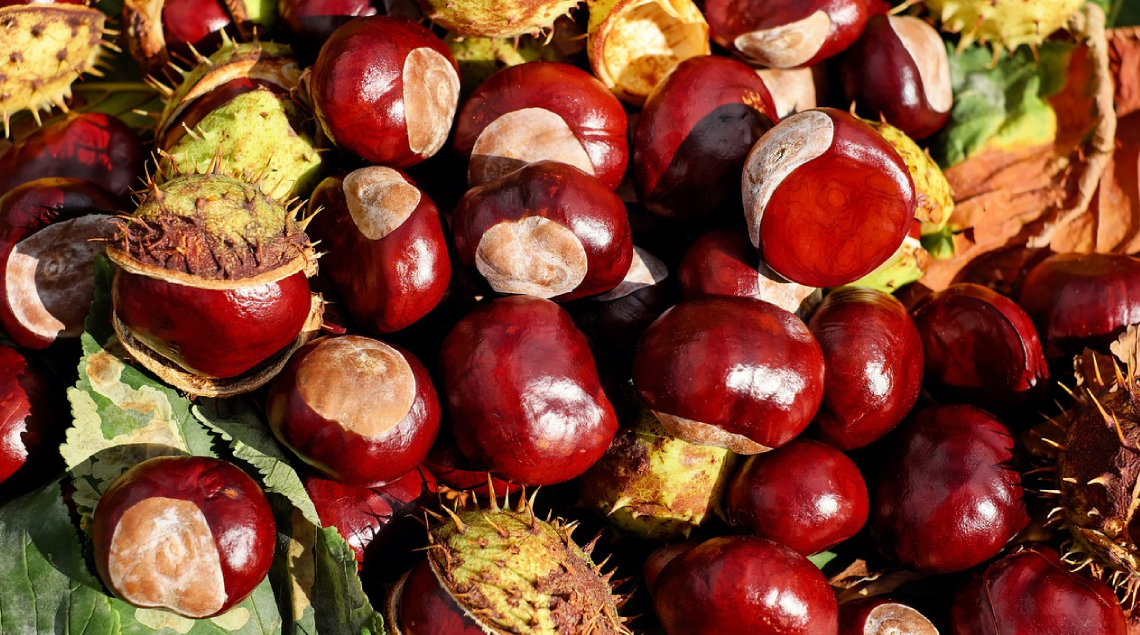 Periodo delle castagne consigli e rimedi