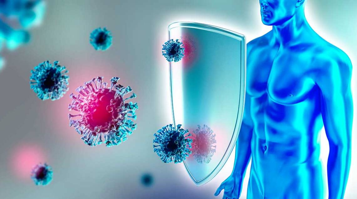 virus scudo e corpo umano