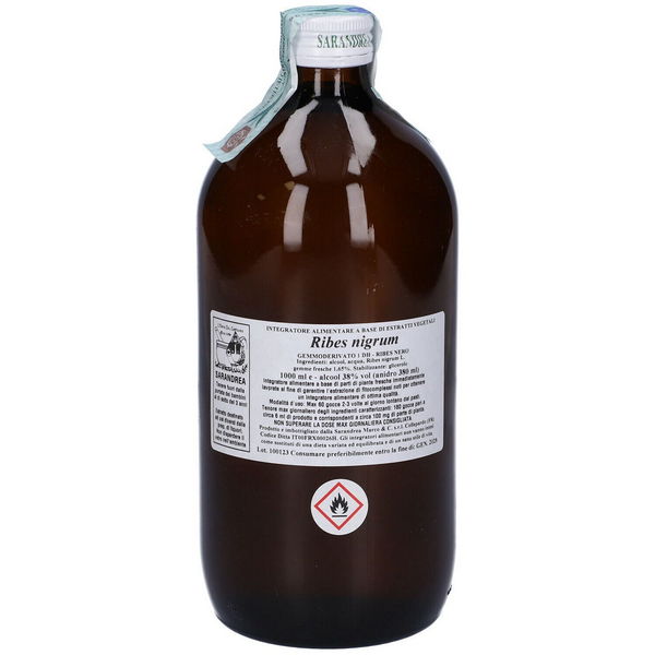 RIBES NIGRUM 1000ML MG