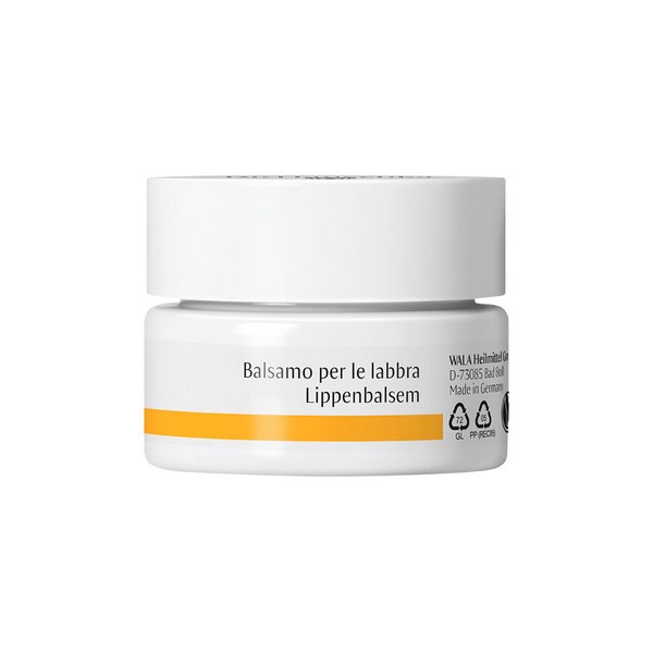 DR.HAUSCHKA Balsamo Labbra Rigenerante E Protettivo 4,5 ml - Immagine 3
