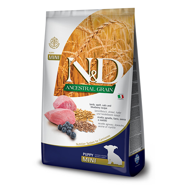 FARMINA N&D ancestral grain puppy mini all'Agnello e Mirtillo - Alimento completo per cani 800 gr - Immagine 3