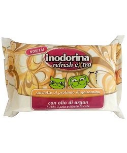 INODORINA SALVIETTE GELS EX40P