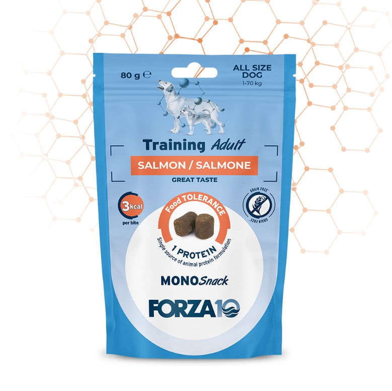 F10 DOG SNACK TRAIN SALM 80GR