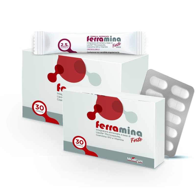 Ferramina Forte 30 Stick Pz - Immagine 4