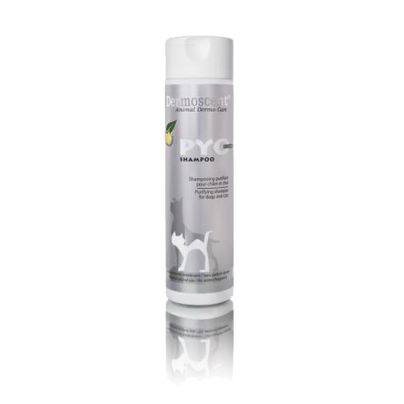 PYOCLEAN SHAMPOO - Immagine 2