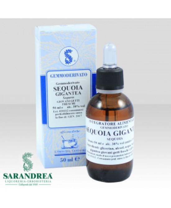 Sequoia gigantea 60 ml macerato glicerico - Immagine 3