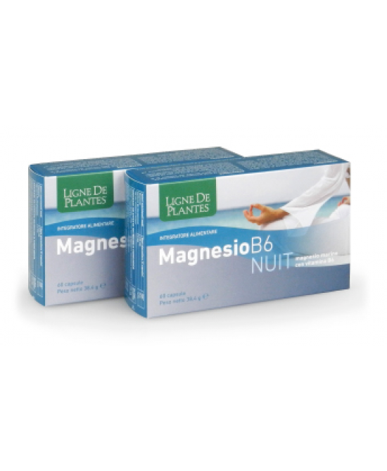 Magnesio B 6 Nuit 60 Capsule