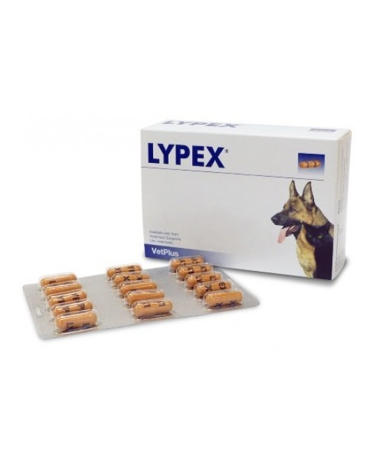 LYPEX 60 Cps - Immagine 4