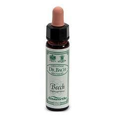 Santiveri Ainsworths Beech 10Ml - Immagine 4