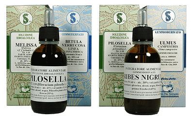 Sarandrea Marco &C. Srl Fagus Sylv.mg 100Ml Sarandrea - Immagine 3