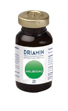 Driamin Molibdeno 15 Ml Ml Soluzione Orale Bambino - Immagine 5