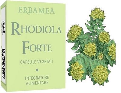 Rhodiola Forte 24 Capsule