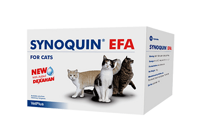 Vetplus Synoquin Efa Cat 30 Capsule - Immagine 4