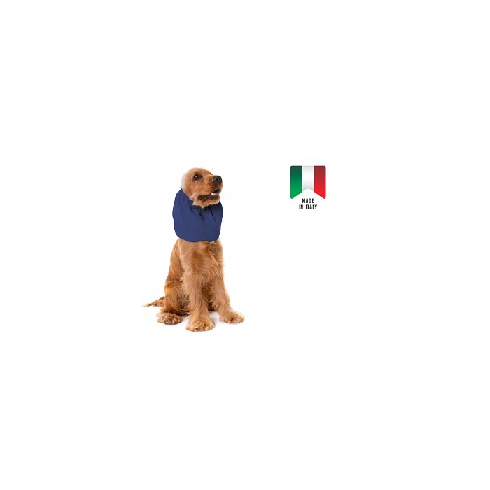 /L/A/LAT0030673_1784170372_603e1ff3.jpg
