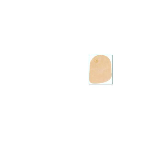 /i/m/image_21478.jpg