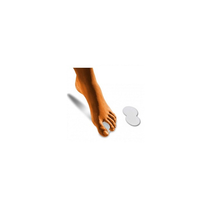 /i/m/image_2548.jpg