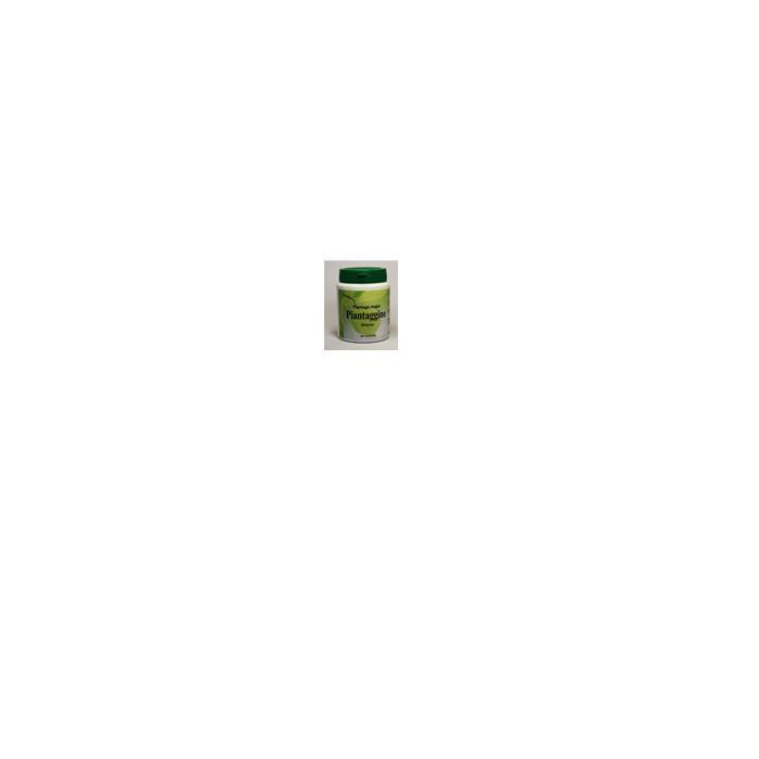 /i/m/image_3058.jpg