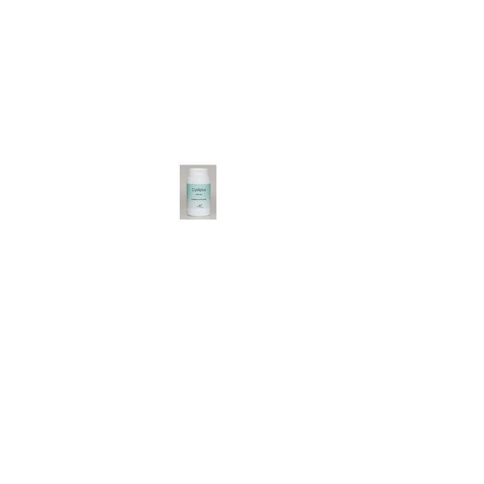 /i/m/image_3064.jpg