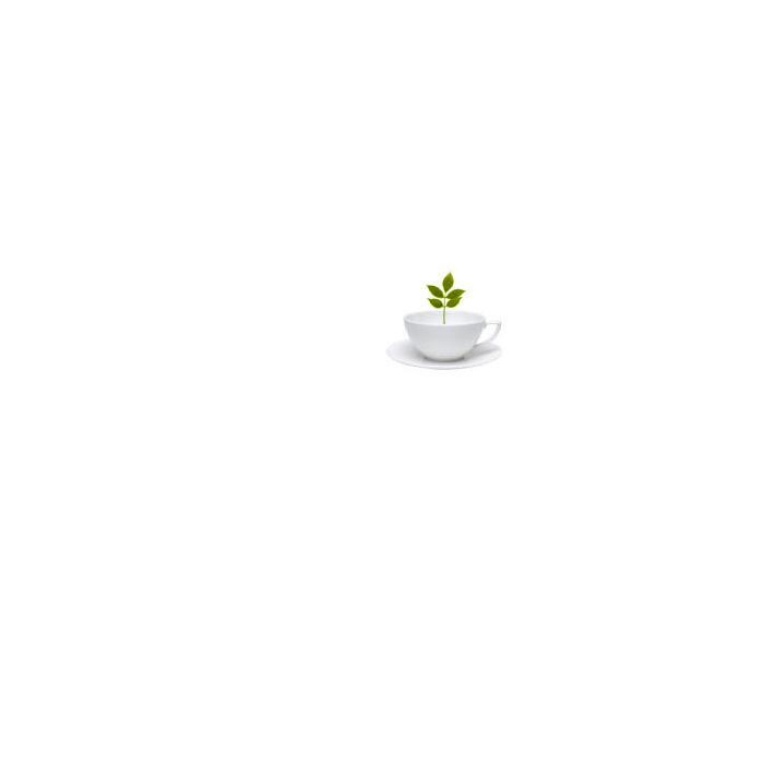 /i/m/image_3761.jpg