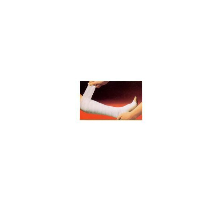 /i/m/image_4693.jpg