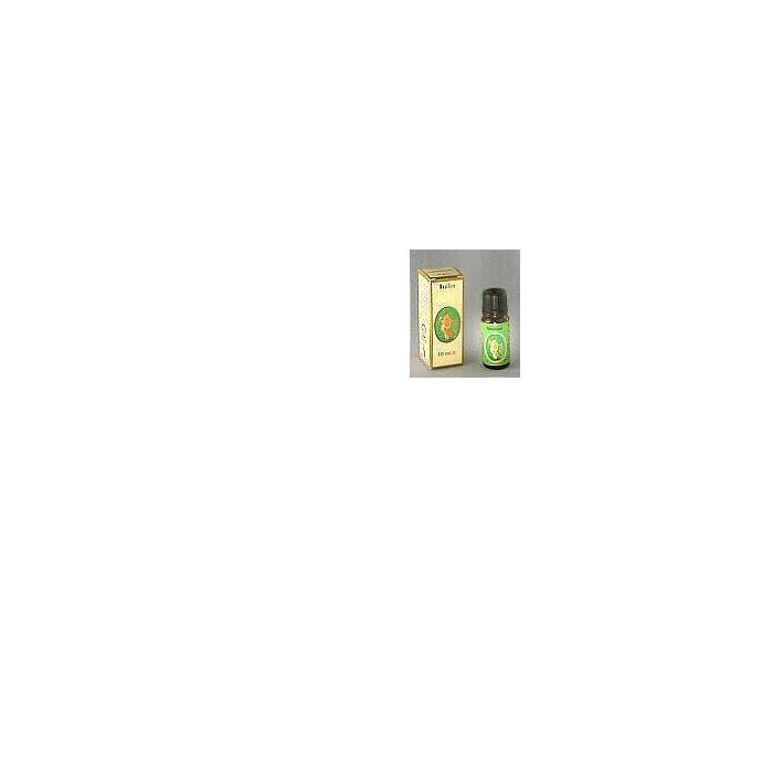 /i/m/image_510.jpg