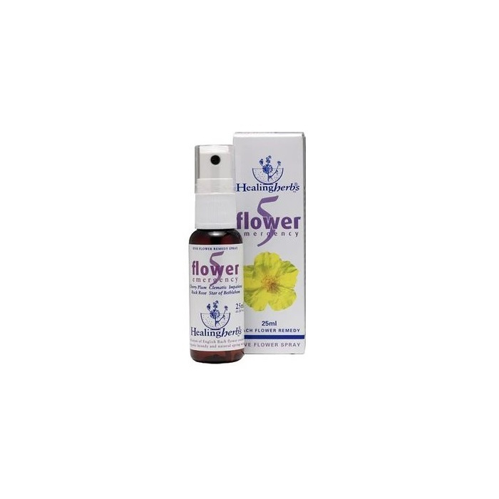 /i/m/image_5347.jpg