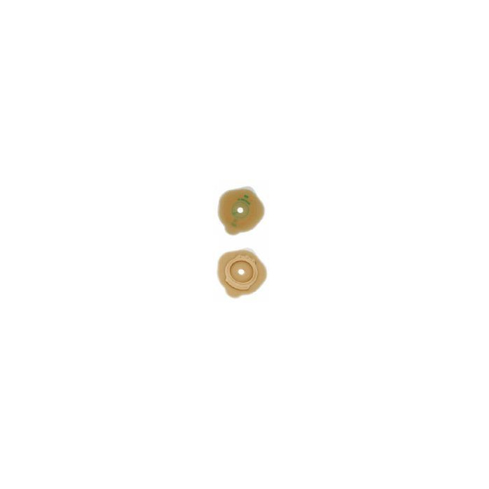/i/m/image_7294.jpg