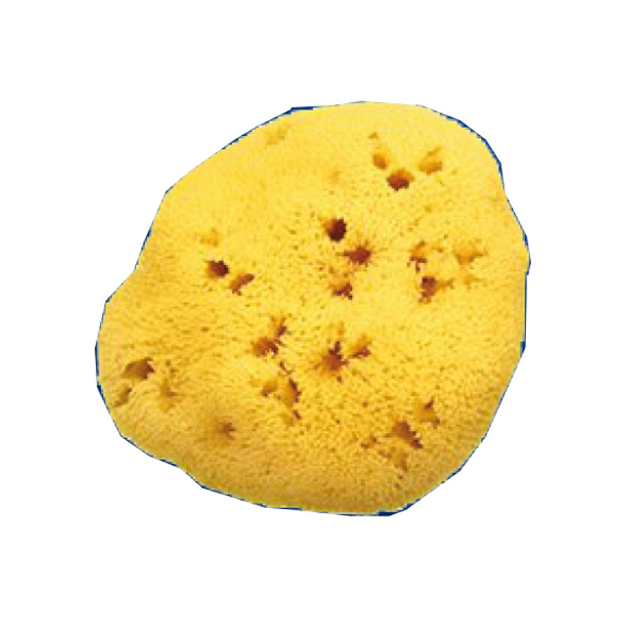 /i/m/image_740.jpg