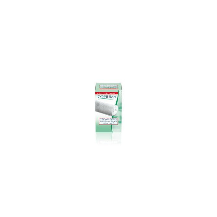 /i/m/image_8247.jpg