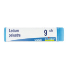 Boiron Ledum Palustre 9CH Globuli Omeopatici Tubo 1g