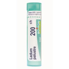 Ledum palustre 200 CH globuli tubo Boiron