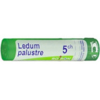 Ledum Palustre (Boiron) 80 Granuli 5 Ch Contenitore Multidose