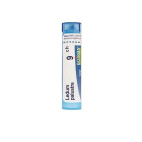Ledum palustre 9CH granuli omeopatici – 4g