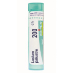 Ledum Palustre (Boiron) 80 Granuli 200 Ch Contenitore Multidose