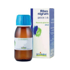 Boiron Ribes Nigrum a base di gemme 60 ml