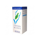 Betula Alba Tintura Madre 60 ml