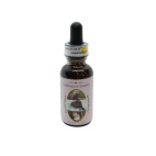 Joyful Work essenza Wild Earth da 30ml