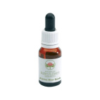 Alpine Mint Bush essenza da 15ml 1 pezzo