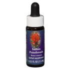 Indian Paintbrush da 7,4ml fiore californiano