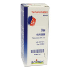 Olea Europaea tintura madre da 60ml Boiron