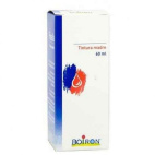 Solidago Virga Aurea Tintura Madre 60 Ml