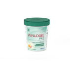 PSYLLOGEL FIBRA POMP RA 170G