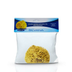 SILVANA SPUGNA NATURALE M