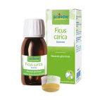 Ficus Carica Macerato Glicerico 60ml Boiron