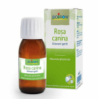 Rosa Canina Macerato Glicerico 60ml