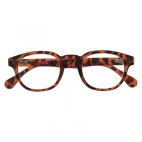 OCCHIALE EVEREST TURTLE +2,0