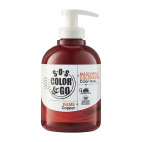 SOS COLOR&amp;GO MAS COL RAME300ML