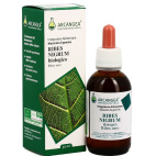 RIBES NIGRUM GD 33 BIO 100ML