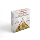 COLO GHEOS FUNCTIONAL 30BUST