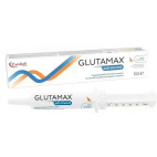 Glutamax Advanced Siringa Dosatrice 30 Ml